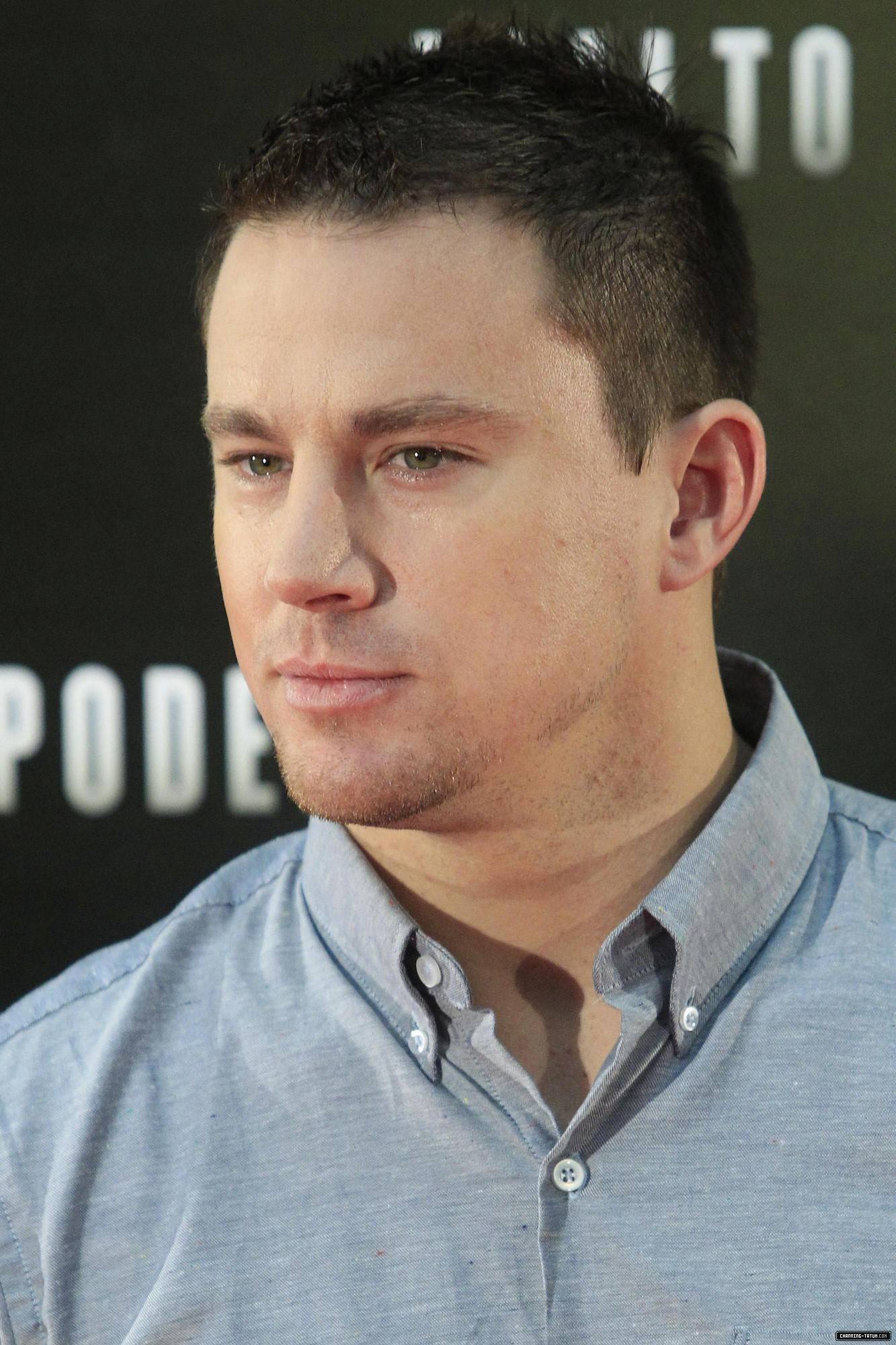 204.jpg