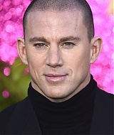 191.jpg