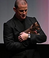 0285.jpg