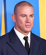 1238.jpg